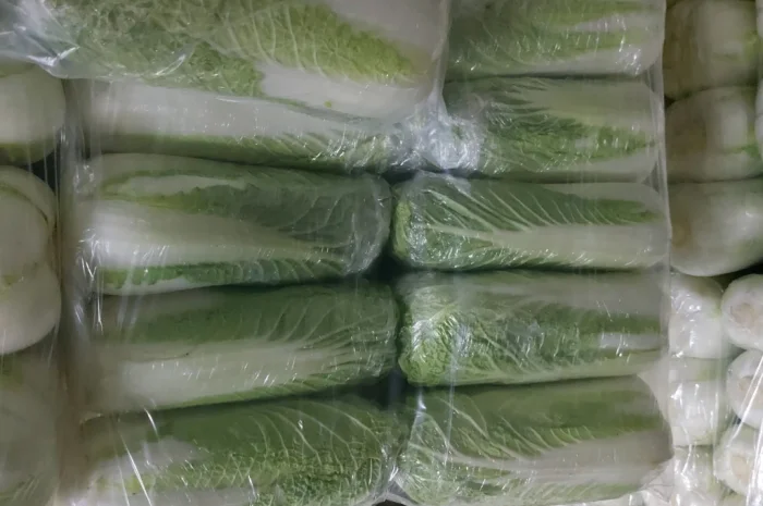 Пекинська капуста на продаж- фото № 2