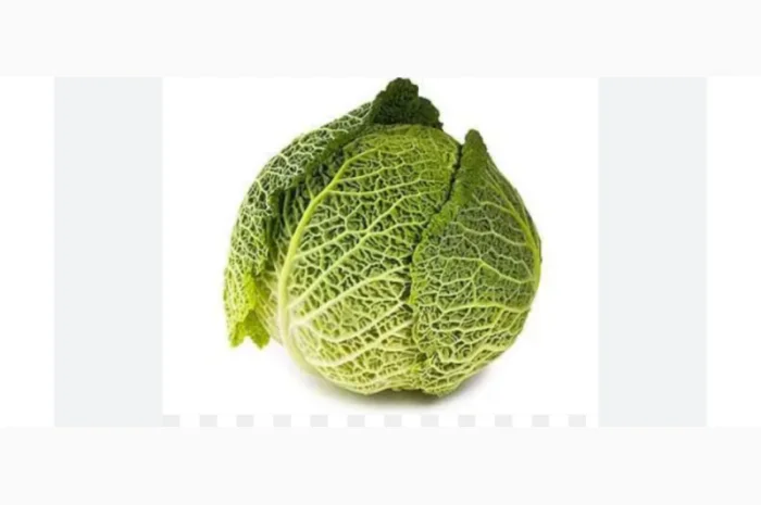 Продаж савойської капусти- фото № 1