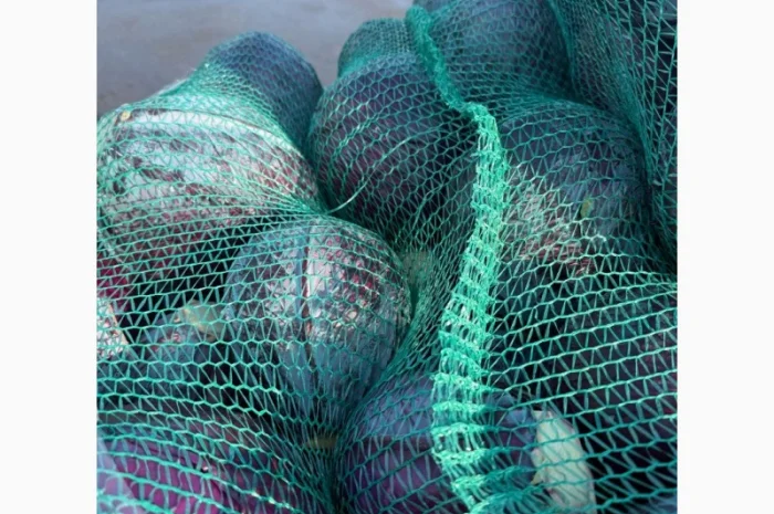 Червоннокачанна капуста оптом- фото № 8