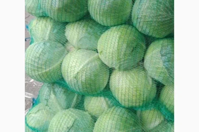 Капуста на продаж- фото № 3