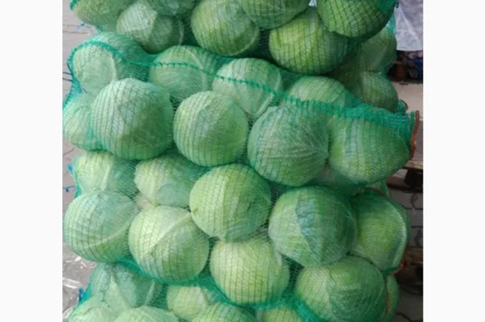 Капуста на продаж- фото № 4