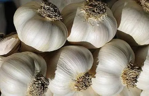 Чеснок на продажу с НДС- фото № 1