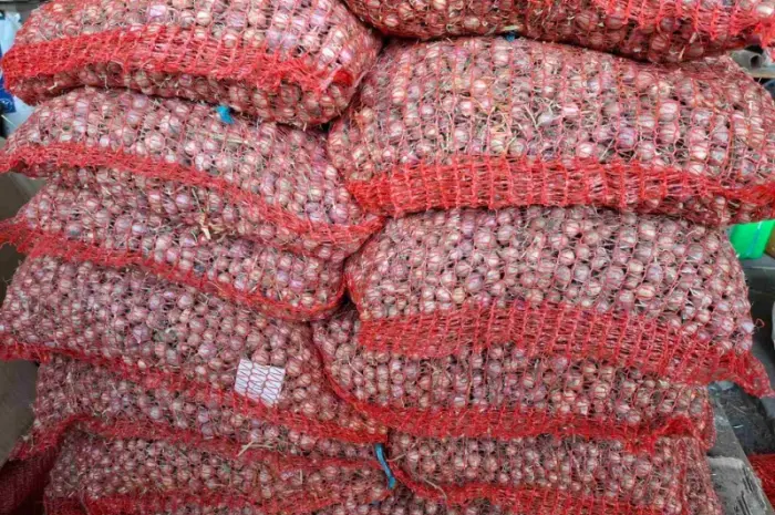 Продам воздушку чеснока сорт "Любаша"- фото № 8