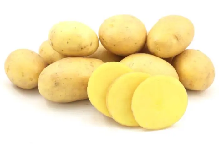 Продаж насінневої картоплі сорту Коломбо. Перша репродукція. Роздріб від 20 кг- фото № 1