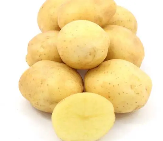 Продажа семенного картофеля сорта Саншайн. Первая репродукция. Розница от 20 кг- фото № 1