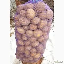 Посадочная картошка Беллароза Кировоградская область купить- фото № 1