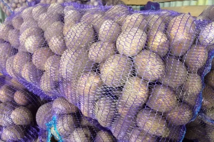 Семенной картофель Аризона 1-2 репродукция- фото № 1