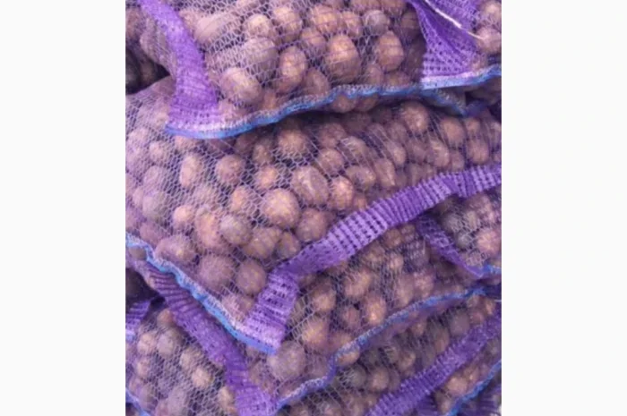 Насіннєва картопля Беллароза 1-2 репродукція- фото № 1