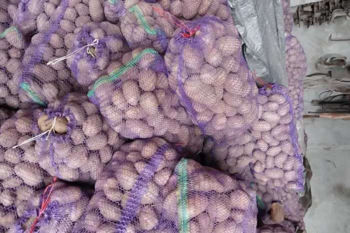 Продам картофель 20 тонн- фото № 1