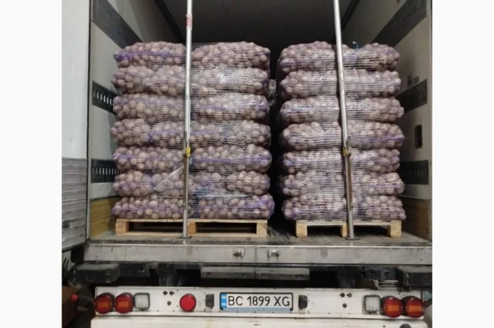 Продаж картоплі пізньої оптом- фото № 3