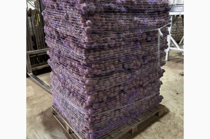 Продаж картоплі пізньої оптом- фото № 7