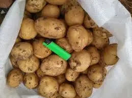 Продажа молодой картофеля с фермерского хозяйства- фото № 1