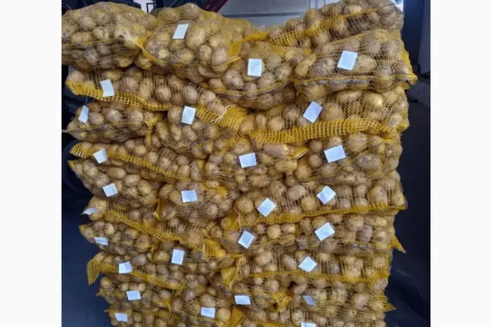 Продам картофель из Польши 0- фото № 4