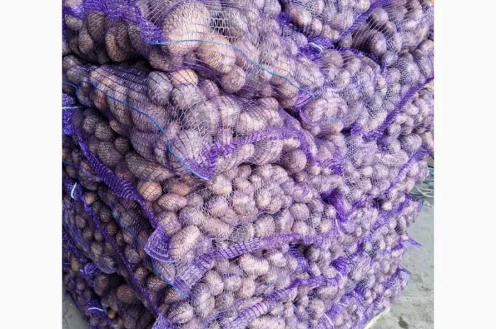 Продам картофель из Польши 0- фото № 5