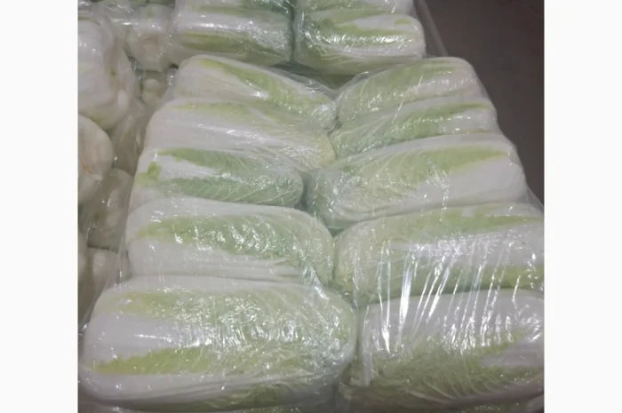 Покупка свежей пекинки оптом- фото № 2