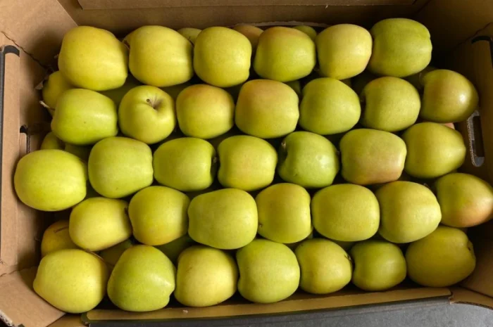 Яблоки, баклажан и сладкий перец от производителя- фото № 2