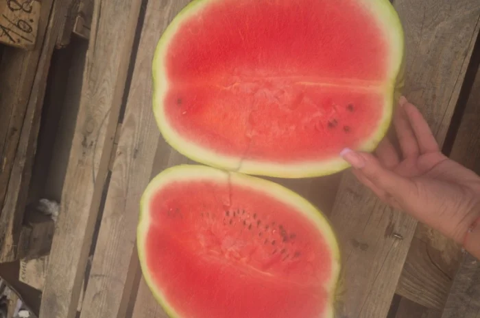 Арбуз на продаж- фото № 2