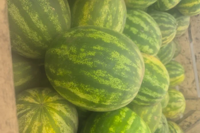 Арбуз на продаж- фото № 3