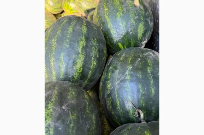 Продаю кавун Арбуз Баштан- фото № 1