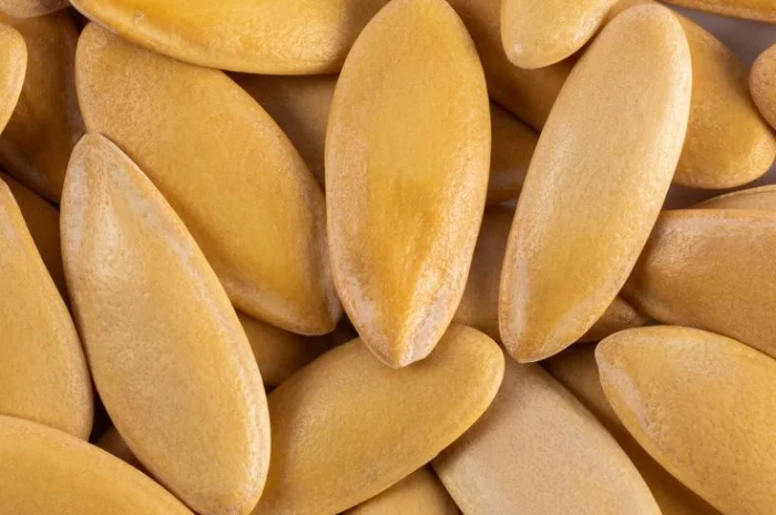 Продаж насіння дині Ефіопка- фото № 2