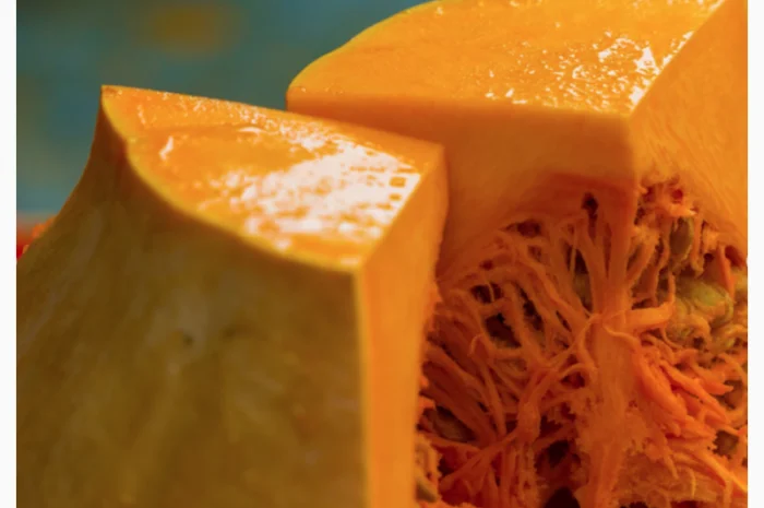 Вирощування та продаж гарбузів- фото № 1