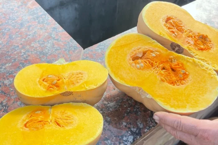 Тыквы различных сортов на продажу- фото № 1