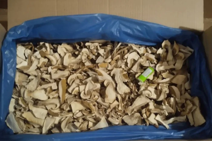 Грибы белые сушеные для продажи- фото № 2