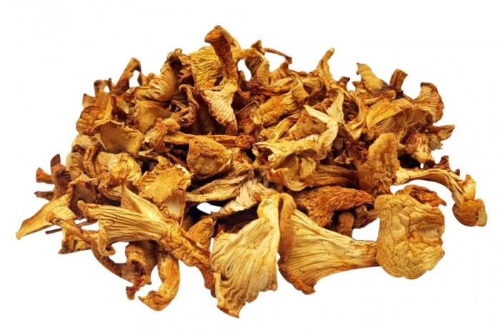 Лисичка сушена - корисний гриб- фото № 1