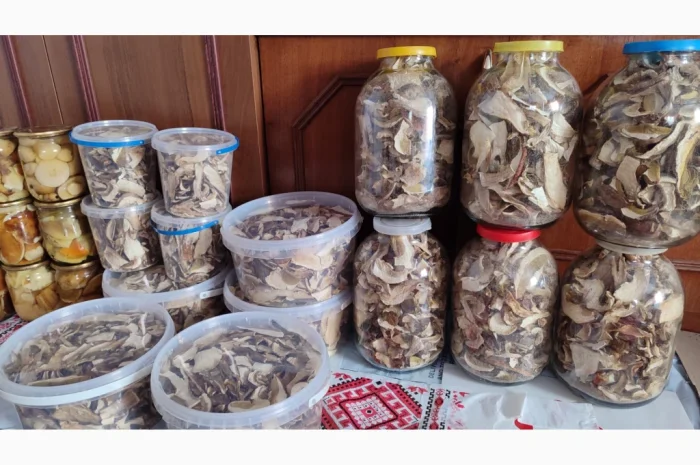 Сушені білі гриби на продажу- фото № 1