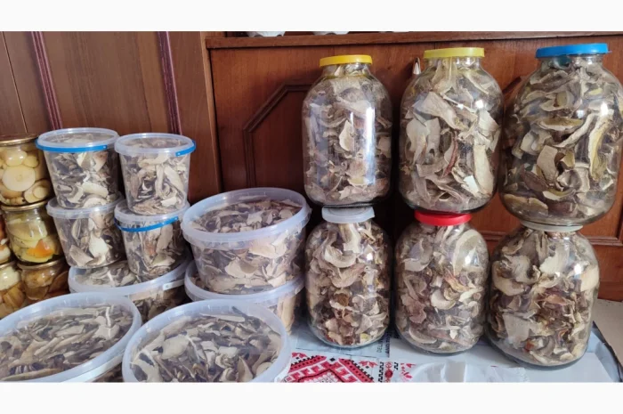 Сушені білі гриби на продажу- фото № 2