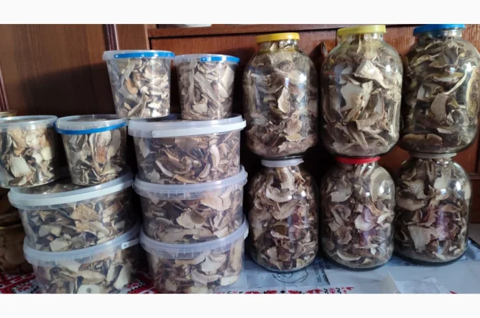 Сушені білі гриби на продажу- фото № 4