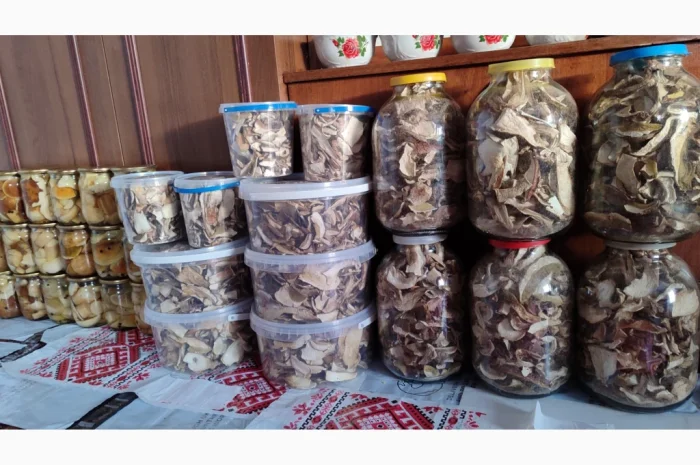 Сушені білі гриби на продажу- фото № 7