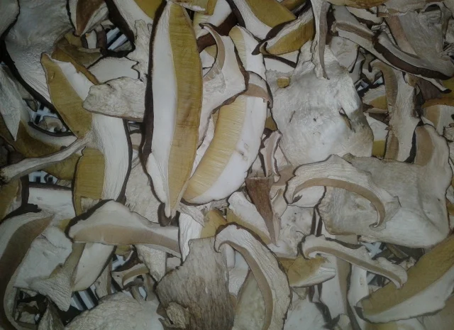 Продаж сушеного білого гриба- фото № 1