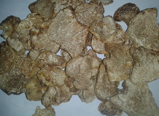 Продаж сушеного білого трюфеля- фото № 2