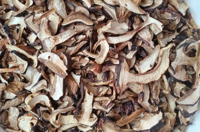 Продаю сушений польський гриб- фото № 1