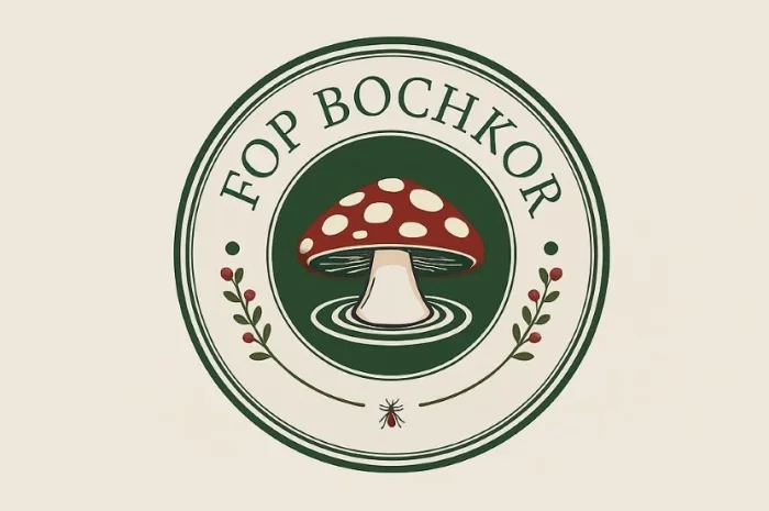 Покупка сушеного красного мухомора- фото № 1