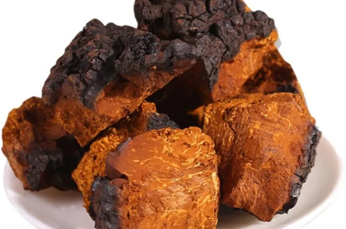 Чага березова сушена в кусках- фото № 1