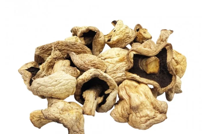 Печериці сушені, продаж- фото № 1