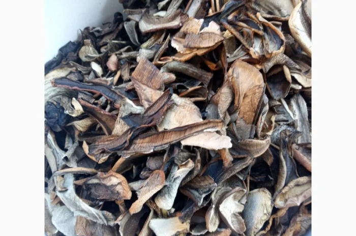 Продаж сушених грибів підосиновиків- фото № 2