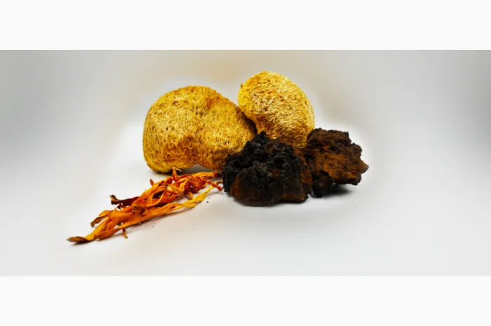 Мухомор - Висока якість та низькі ціни- фото № 3