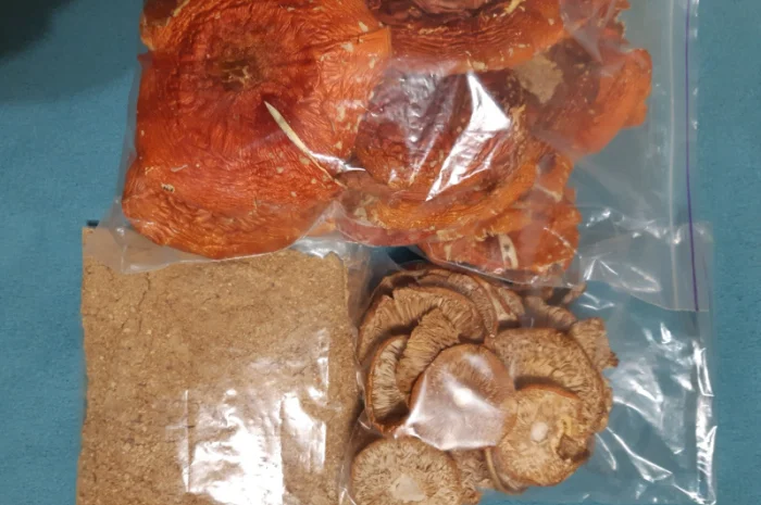 Сушеные грибы червоний 2025 года на продажу- фото № 2