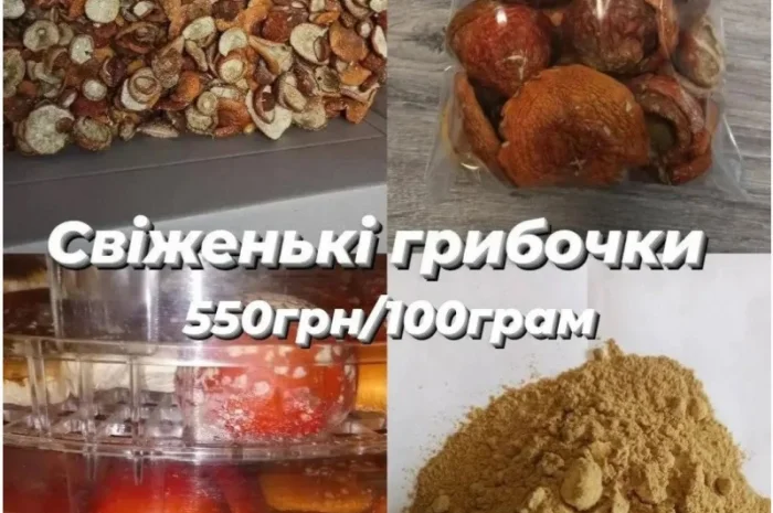 Сушені мухомори оптом- фото № 1