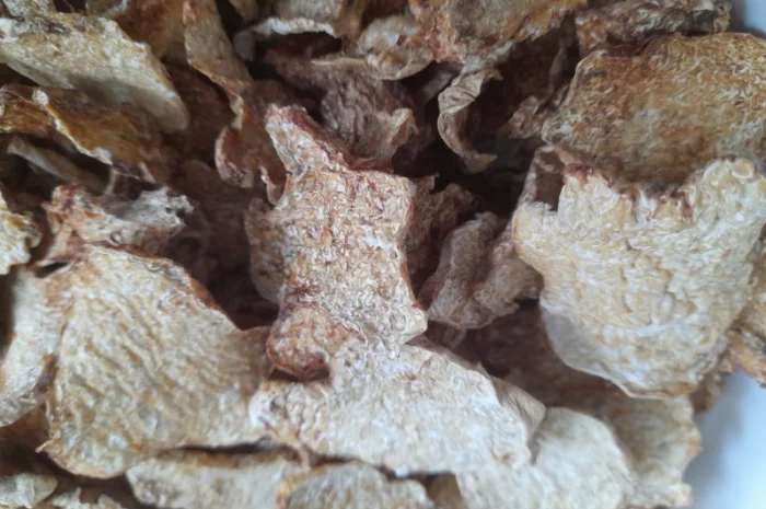 Продаж сушеного білого трюфеля- фото № 3