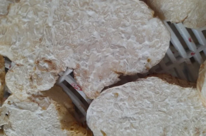 Продаж сушеного білого трюфеля- фото № 5