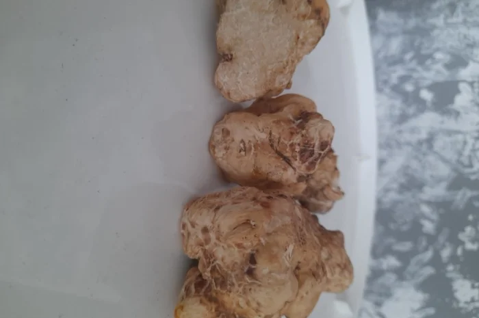 Продаж сушеного білого трюфеля- фото № 6