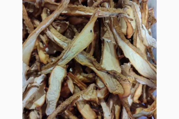 Продажа сухого трутовика лускатий- фото № 2