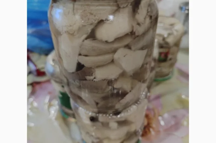 Продажа сухого трутовика лускатий- фото № 3