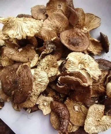 Пантерній 340 грамів на продаж- фото № 2