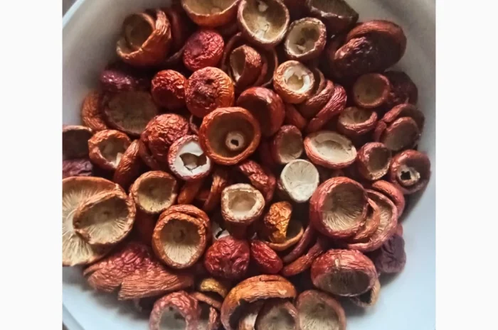 Продаю мухомор 100 грамів- фото № 2