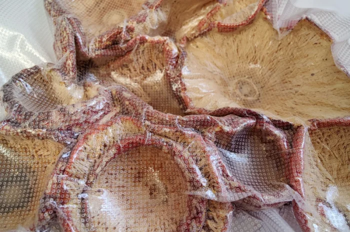 Капелюшки Червоного Мухомора 50 грамів- фото № 3